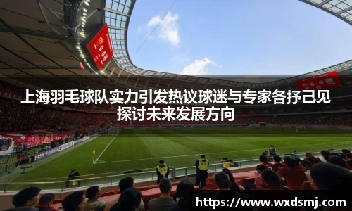 上海羽毛球队实力引发热议球迷与专家各抒己见探讨未来发展方向